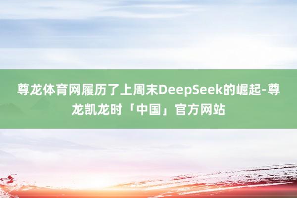 尊龙体育网履历了上周末DeepSeek的崛起-尊龙凯龙时「中国」官方网站