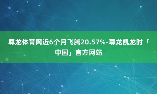 尊龙体育网近6个月飞腾20.57%-尊龙凯龙时「中国」官方网站