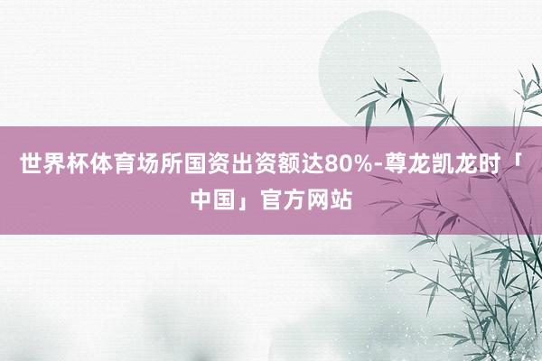 世界杯体育场所国资出资额达80%-尊龙凯龙时「中国」官方网站