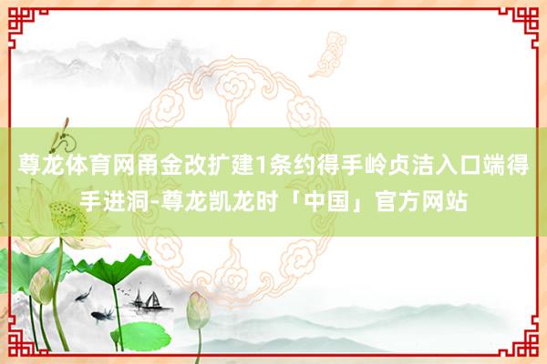 尊龙体育网甬金改扩建1条约得手岭贞洁入口端得手进洞-尊龙凯龙时「中国」官方网站