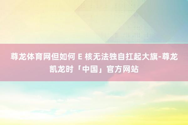 尊龙体育网但如何 E 核无法独自扛起大旗-尊龙凯龙时「中国」官方网站