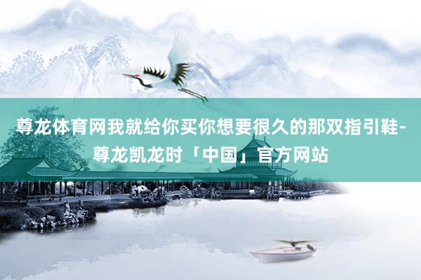 尊龙体育网我就给你买你想要很久的那双指引鞋-尊龙凯龙时「中国」官方网站