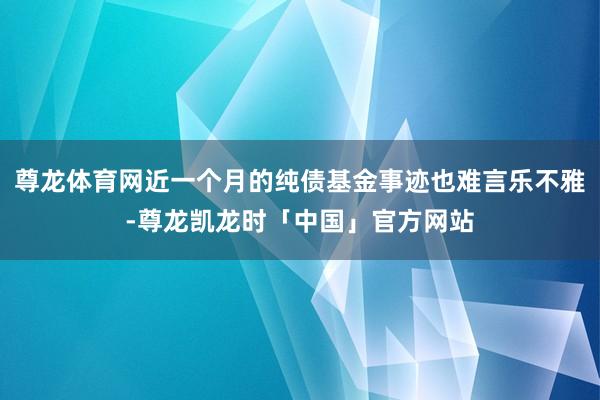 尊龙体育网近一个月的纯债基金事迹也难言乐不雅-尊龙凯龙时「中国」官方网站