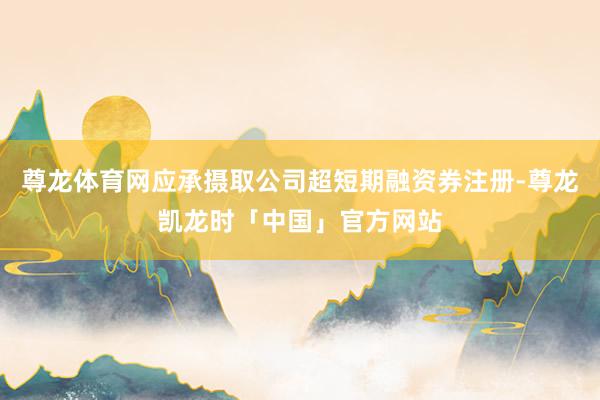 尊龙体育网应承摄取公司超短期融资券注册-尊龙凯龙时「中国」官方网站