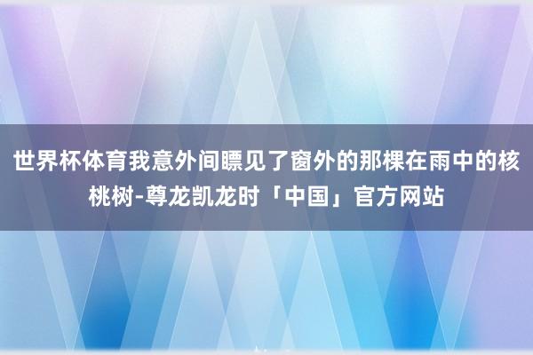世界杯体育我意外间瞟见了窗外的那棵在雨中的核桃树-尊龙凯龙时「中国」官方网站